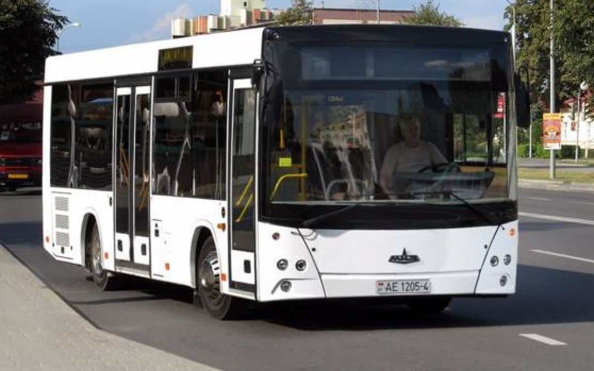 Низкопольные городские автобусы МАЗ 206 (Euro 5)